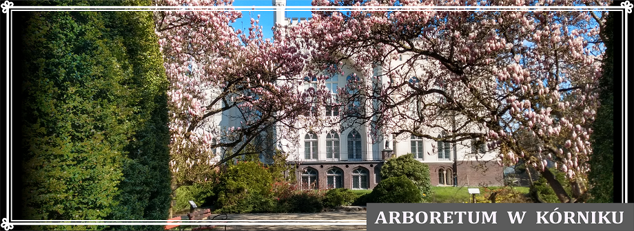 ARBORETUM 2026