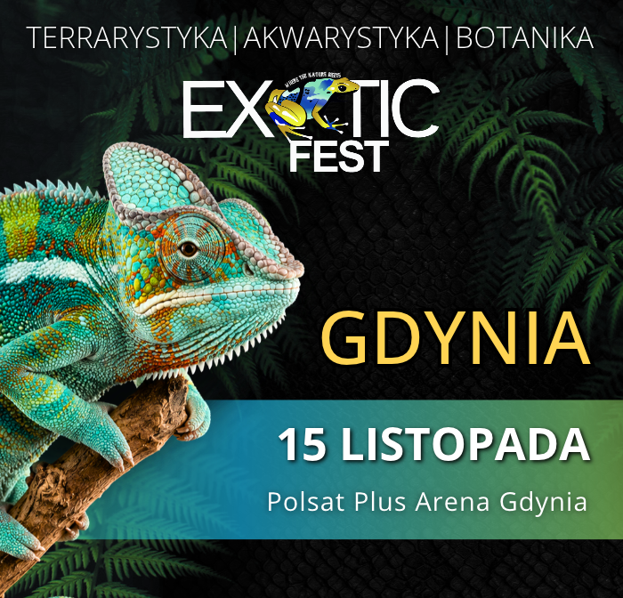 Exotic Fest GDYNIA