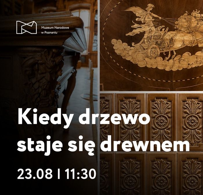 Kiedy drzewo staje się drewnem