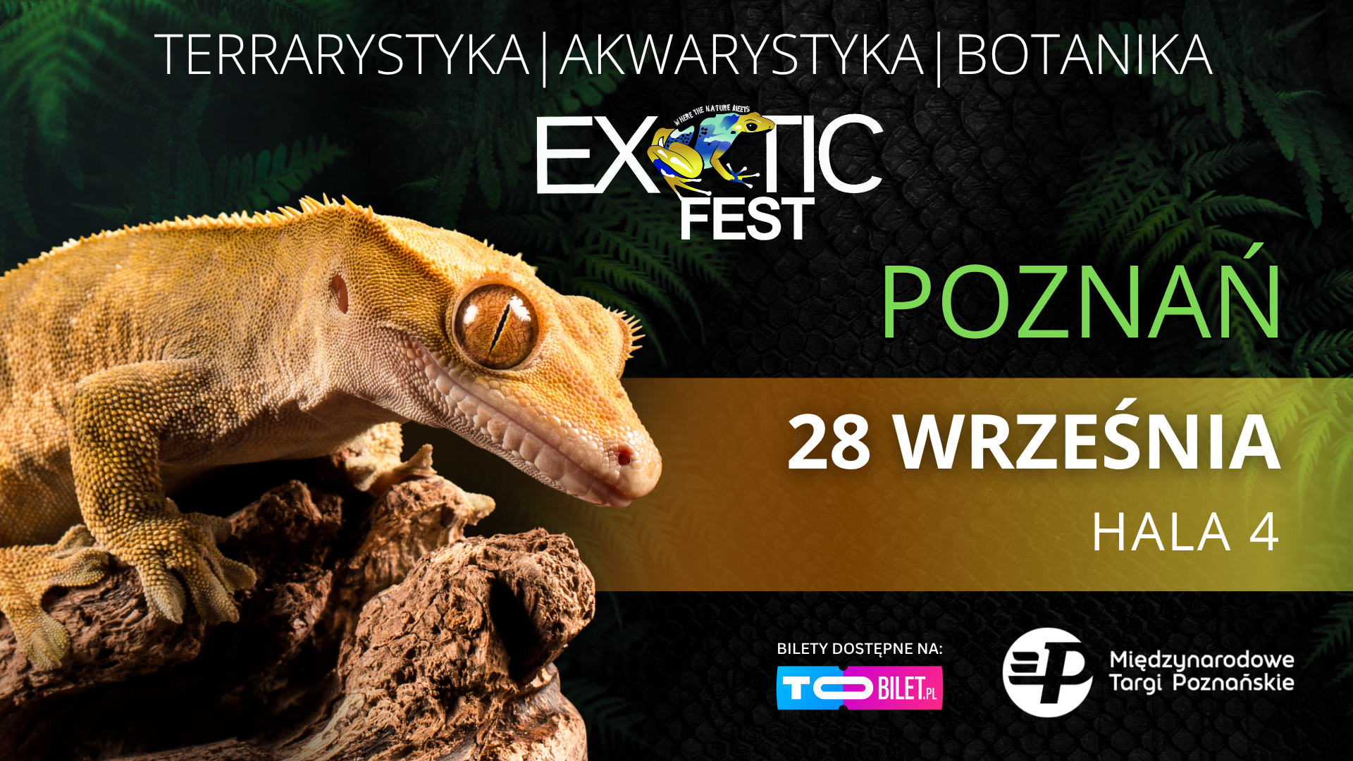 Jesienne święto egzotyki w Poznaniu