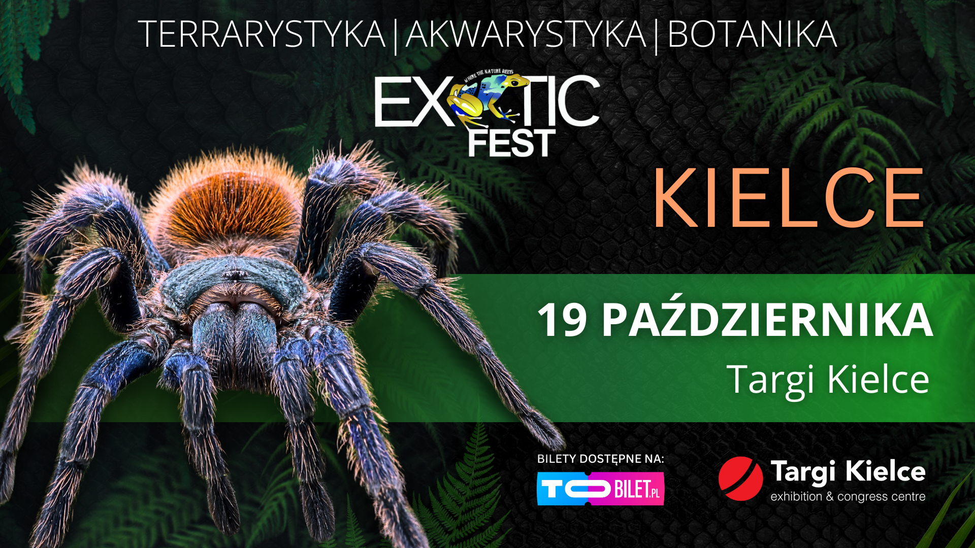 Jesienna edycja Exotic Fest Kielce 2025 już w ten weekend!