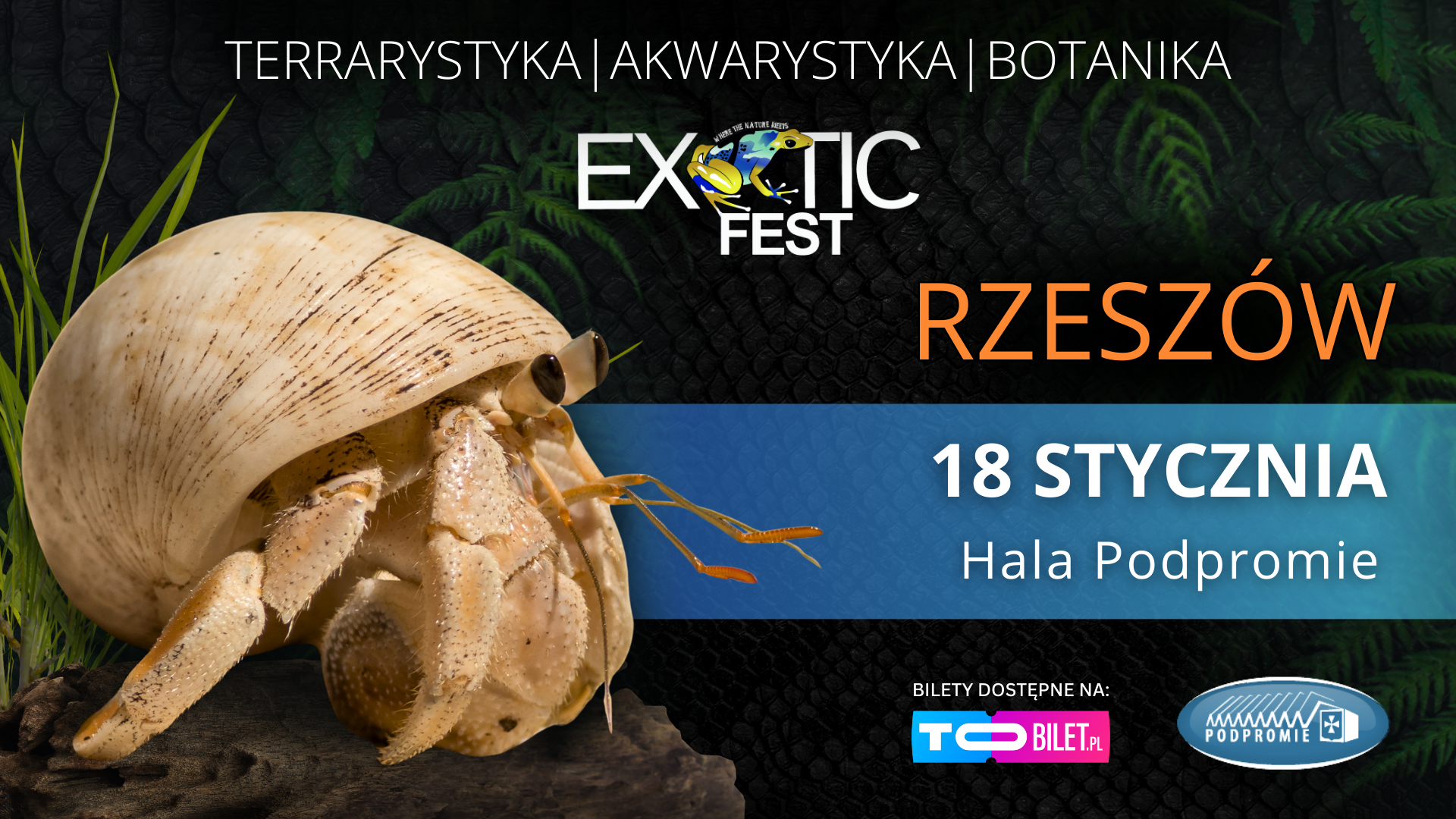 Egzotyka na wyciągnięcie ręki!