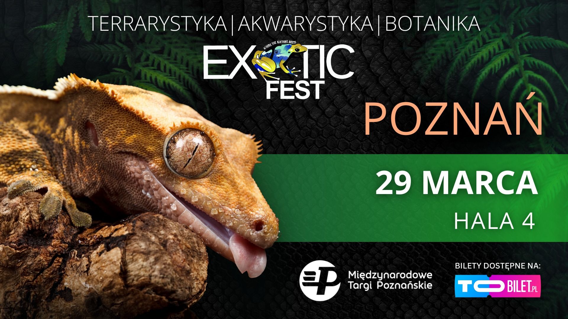 Egzotyka na wyciągnięcie ręki! Exotic Fest w marcowy weekend w Poznania!