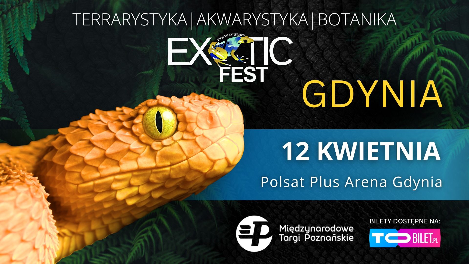 Egzotyczna przygoda w sercu Gdyni!
