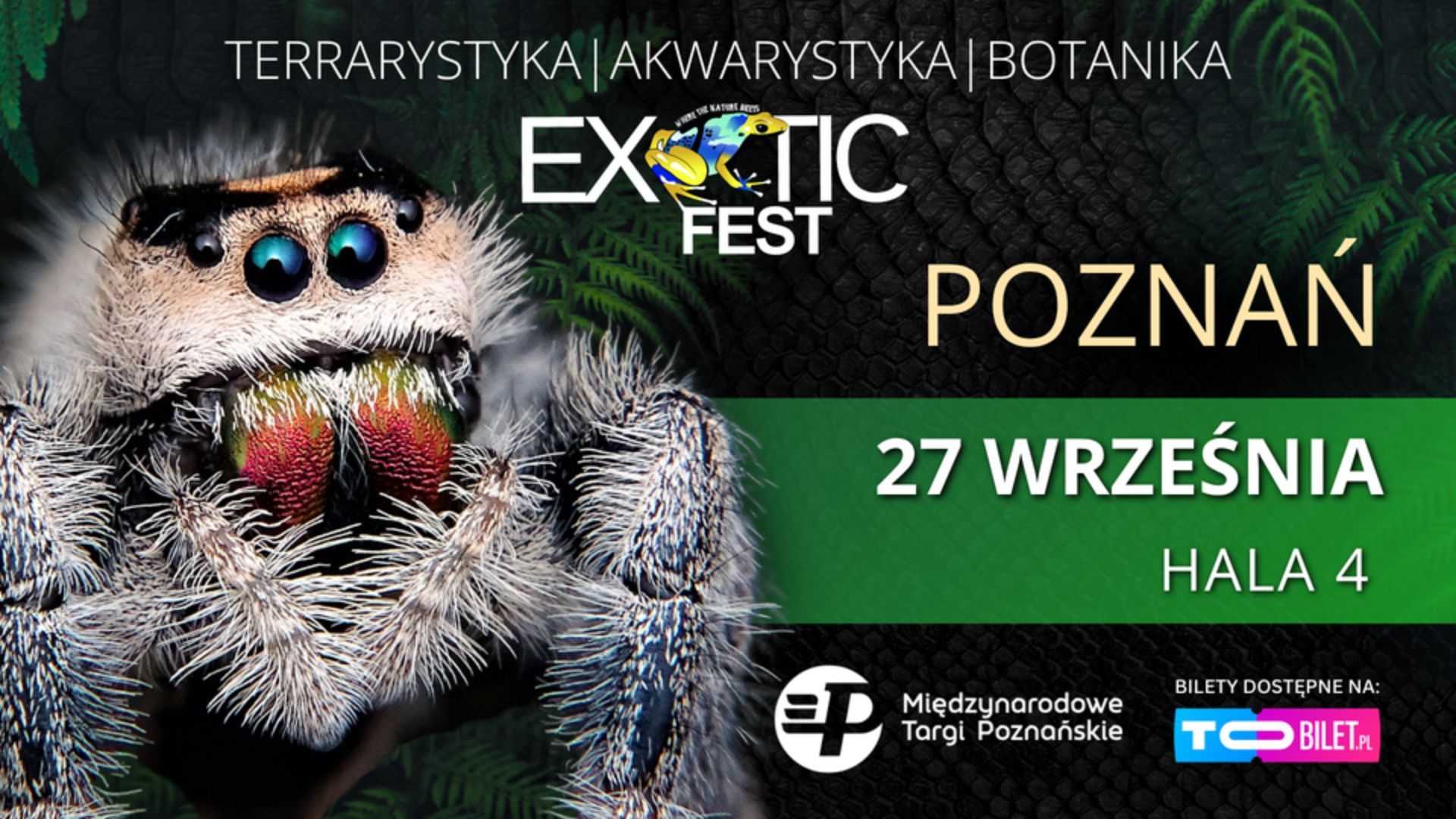 Exotic Fest Poznań: Odkryj świat egzotyki w Poznaniu!