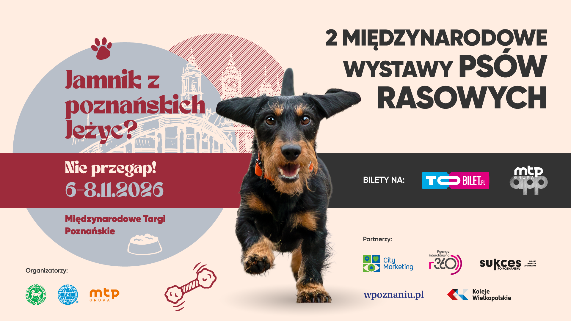 Ponad 6000 psów i 250 ras w Poznaniu! Nadchodzą Międzynarodowe Wystawy Psów Rasowych