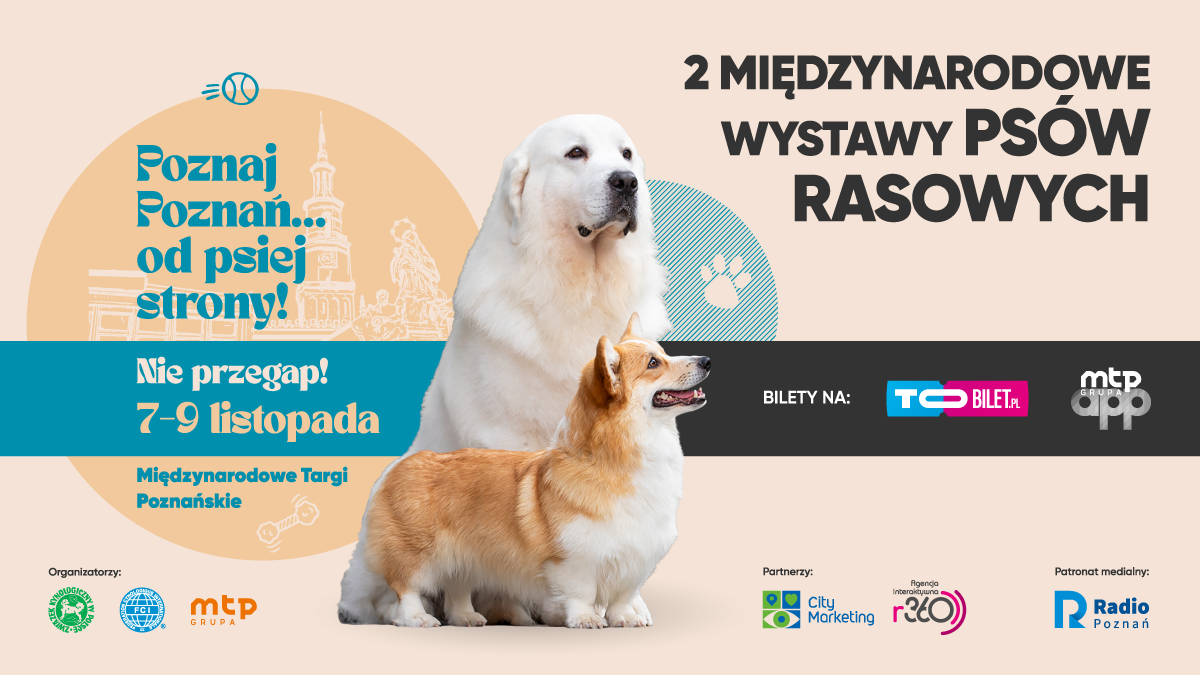 Poznaj Poznań… od psiej strony!